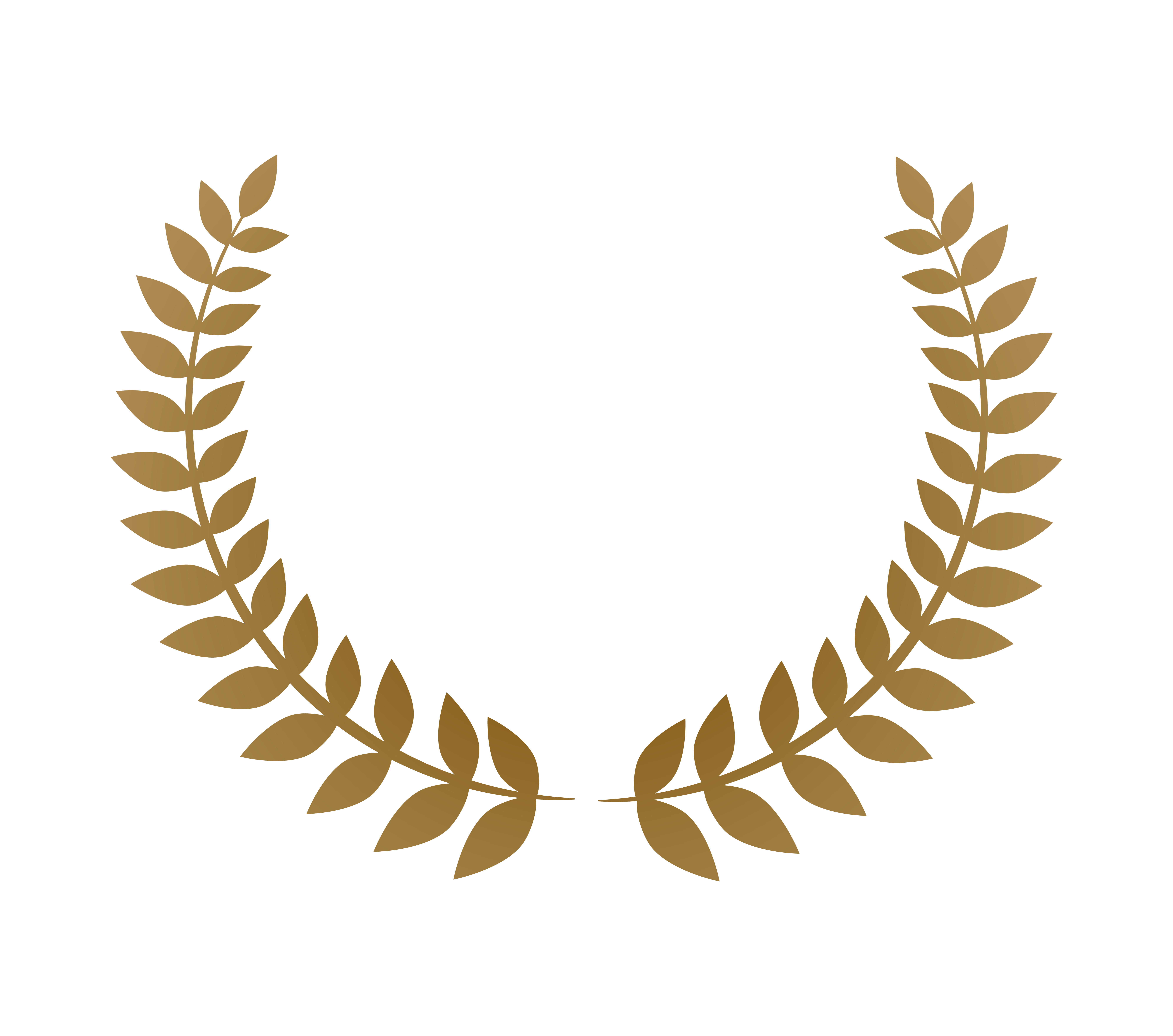 A bronze laurel